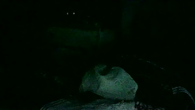 Snapshot of DI4MOND_FIR3 chatting on 11/18/25, 10:41 DI4MOND FIR3 online show from 11/18/25, 10:41