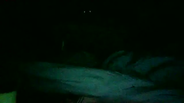 Snapshot of DI4MOND_FIR3 chatting on 11/27/25, 12:18 DI4MOND FIR3 online show from 11/27/25, 12:18