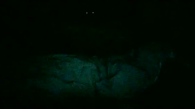 Snapshot of DI4MOND_FIR3 chatting on 11/28/25, 12:24 DI4MOND FIR3 online show from 11/28/25, 12:24