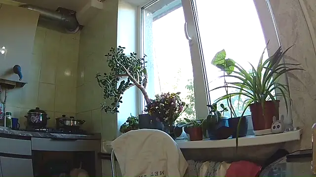 Snapshot of BroadFantasy chatting on 09/11/25, 01:22 BroadFantasy online show from 09/11/25, 01:22