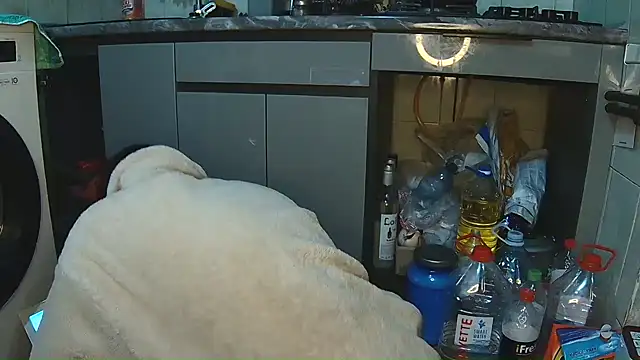 BroadFantasy online show from 04/25/26, 05:21