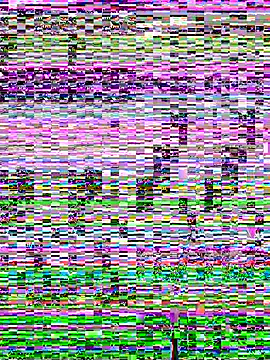 SandraCarter online show from 06/07/26, 07:12