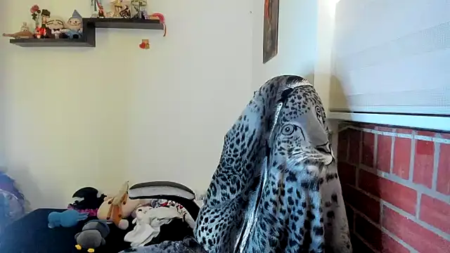 Shaddycute  online show from 05/19/26, 02:01