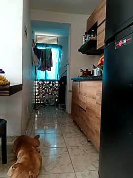 Snapshot of LEIRIS_Y_FRED_01 chatting on 01/19/26, 02:43 LEIRIS Y FRED 01 online show from 01/19/26, 02:43