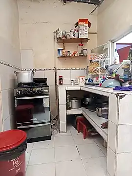 florecita9 online show from 12/12/24, 09:04