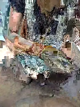 Snapshot of FeltedEuropium chatting on 11/22/25, 09:19 FeltedEuropium online show from 11/22/25, 09:19