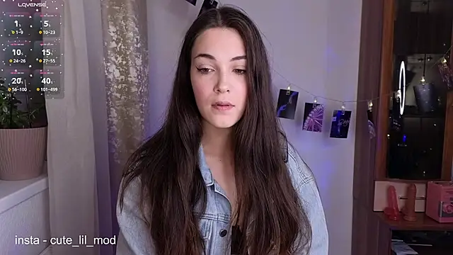 art phoenix online show from 02/21/26, 09:05