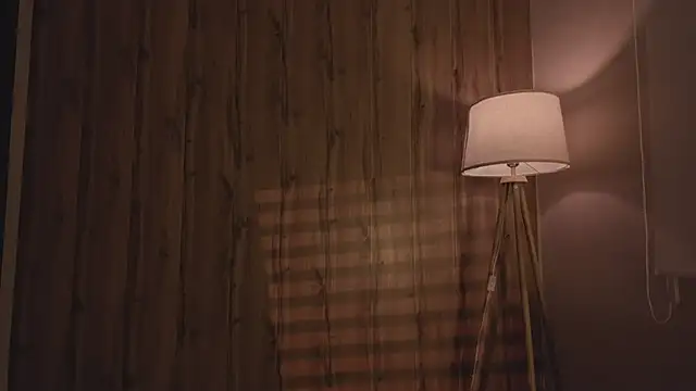 MariMaddison online show from 11/11/25, 08:09