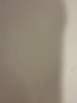 Serkan3356 online show from 02/09/26, 12:31