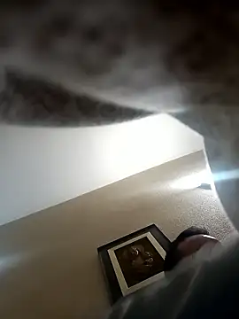 Porco81cazzo online show from 01/05/26, 06:33