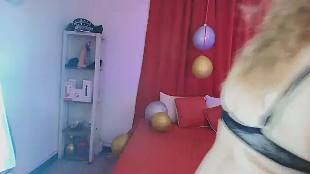 girl amada online show from 02/10/26, 08:24