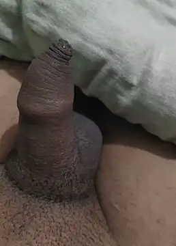 Snapshot of iaparna chatting on 12/29/24, 06:38 iaparna online show from 12/29/24, 06:38