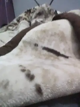 iaparna online show from 12/16/25, 04:23