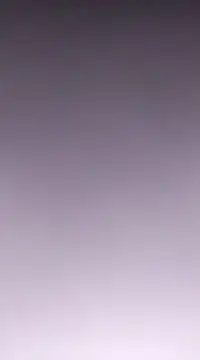 Linda Lars online show from 02/11/25, 07:33