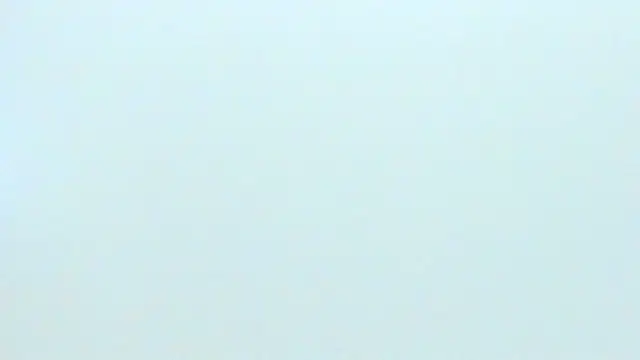 silvana  miller online show from 01/25/25, 01:10