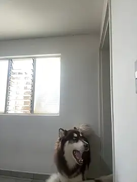 Snapshot of Arilw chatting on 02/01/25, 02:13 Arilw online show from 02/01/25, 02:13