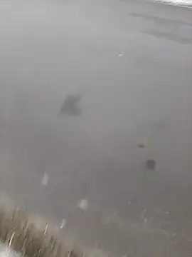 BRUNNA online show from 03/20/25, 03:34