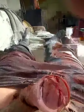 Andy-370 online show from 09/21/25, 11:56