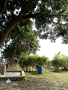 Hot Urvi online show from 12/19/25, 07:04