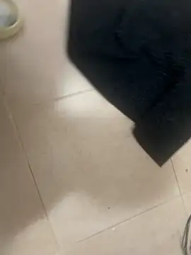 manu97pot online show from 12/22/25, 07:33