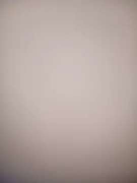 bustybillies online show from 02/18/26, 12:23