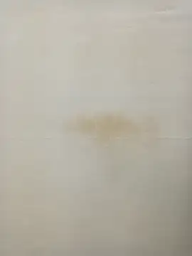 Snapshot of Rina777o chatting on 01/27/25, 06:31 Rina777o online show from 01/27/25, 06:31