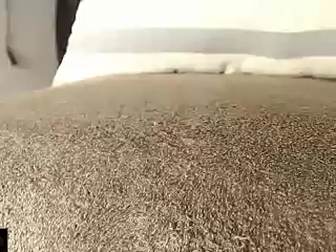 Snapshot of mikellwilliams10 chatting on 03/08/25, 12:41 mikellwilliams10 online show from 03/08/25, 12:41