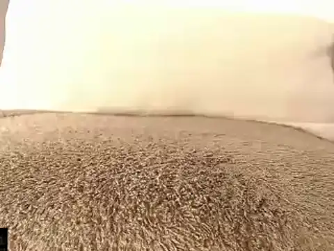 Snapshot of mikellwilliams10 chatting on 03/15/25, 01:29 mikellwilliams10 online show from 03/15/25, 01:29