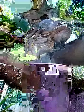 Snapshot of gwadaa9 chatting on 12/22/25, 06:16 gwadaa9 online show from 12/22/25, 06:16