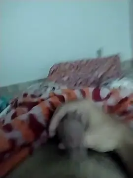 lm279 online show from 02/13/25, 05:33