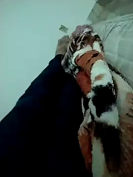 lm279 online show from 02/14/25, 03:47