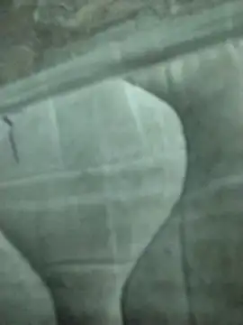 lm279 online show from 02/19/25, 08:20