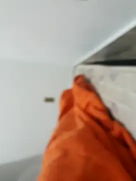 lm279 online show from 11/21/25, 04:16