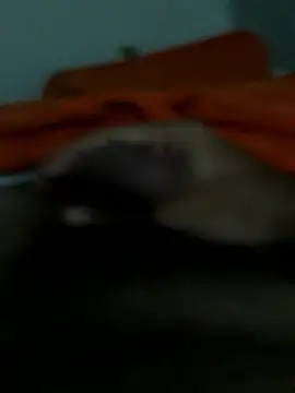 lm279 online show from 01/14/26, 03:06