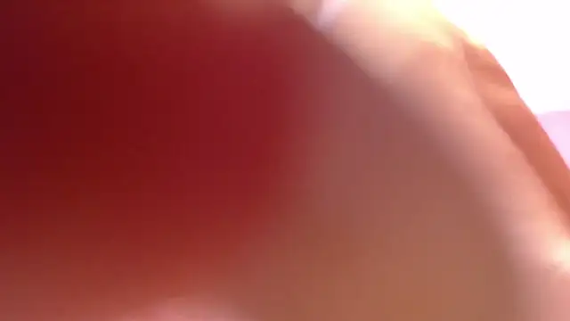 alana storm62 online show from 11/13/25, 05:34