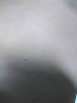 Snapshot of QcMisterv13 chatting on 07/31/26, 10:14 QcMisterv13 online show from 07/31/26, 10:14
