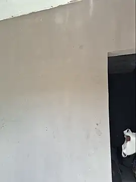 luuhcat09 online show from 11/25/25, 01:11