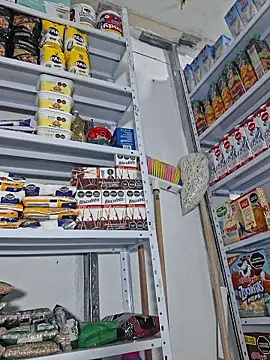 Katia sweetx online show from 04/13/26, 01:38