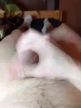 Snapshot of Crazzy_Maiky chatting on 01/29/25, 09:07 Crazzy Maiky online show from 01/29/25, 09:07