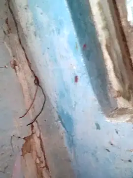 Snapshot of Natasha-In69 chatting on 02/06/26, 12:15 Natasha-In69 online show from 02/06/26, 12:15