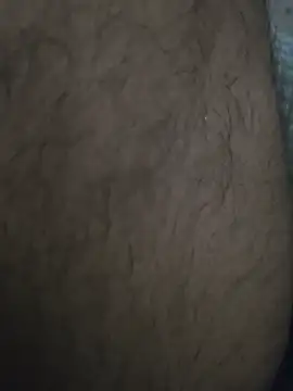 Snapshot of Keshuloveyou chatting on 12/21/24, 09:01 Keshuloveyou online show from 12/21/24, 09:01