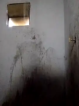 Percybr4561 online show from 11/01/25, 01:13