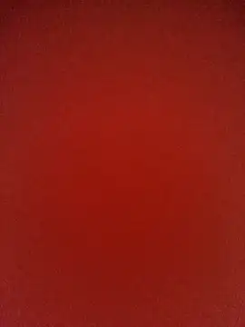 cougar town online show from 02/02/25, 09:34