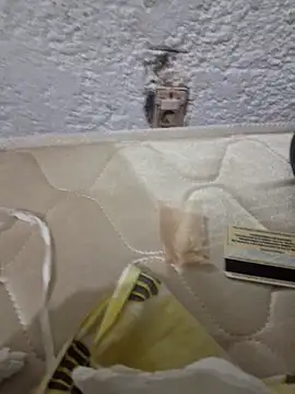 Snapshot of montevideoo chatting on 10/06/25, 12:52 montevideoo online show from 10/06/25, 12:52