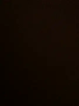 Lona Lina online show from 01/19/25, 12:28