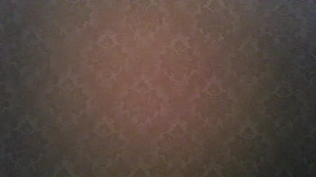 Snapshot of Kashtanka_ chatting on 11/21/25, 04:55 Kashtanka online show from 11/21/25, 04:55