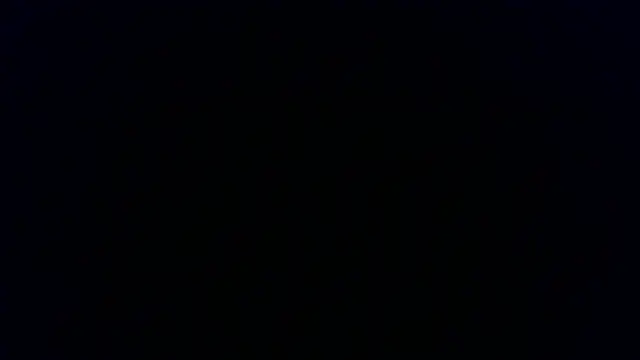 Kashtanka  online show from 01/08/26, 07:54