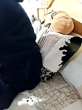 Snapshot of jijijoudia chatting on 01/18/25, 11:43 jijijoudia online show from 01/18/25, 11:43