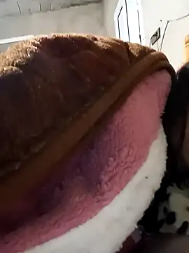 Snapshot of jijijoudia chatting on 01/25/25, 12:37 jijijoudia online show from 01/25/25, 12:37