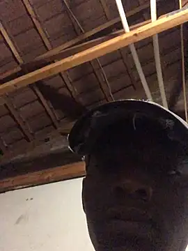 thekidrose online show from 12/02/25, 05:35